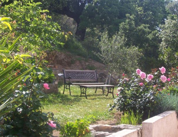 casa_mea_3